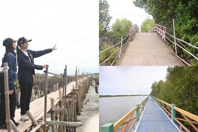 “ธีรรัตน์”  ติดตามการป้องกันและแก้ไขปัญหาการกัดเซาะชายฝั่งทะเลบางขุนเทียน มุ่งส่งเสริมแหล่งท่องเที่ยวเชิงนิเวศ 