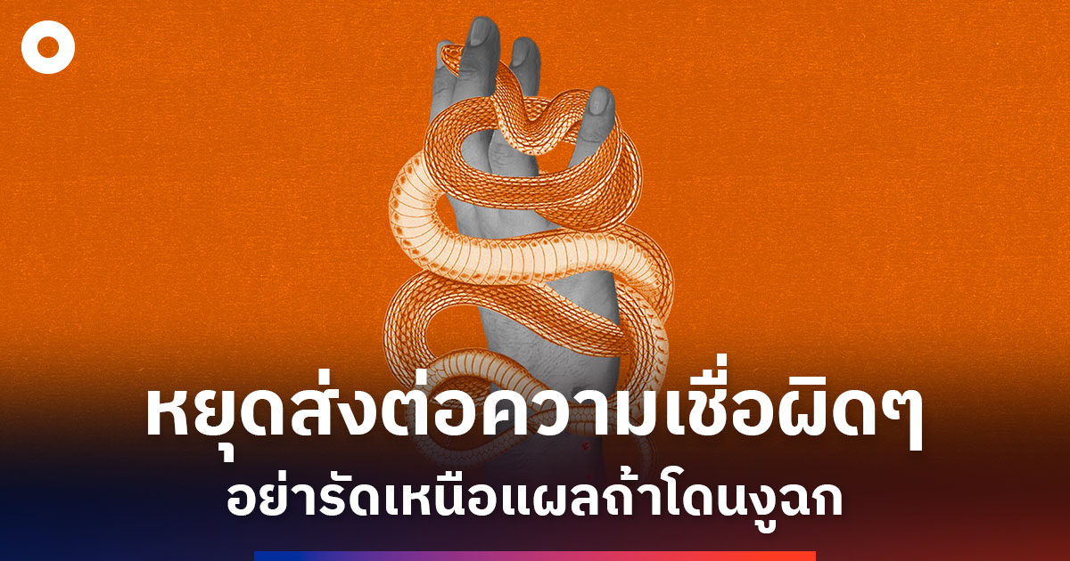 หยุดส่งต่อความเชื่อผิดๆ ที่บอกว่า ‘ให้หาสายรัดเหนือแผลถ้าโดนงูฉก’