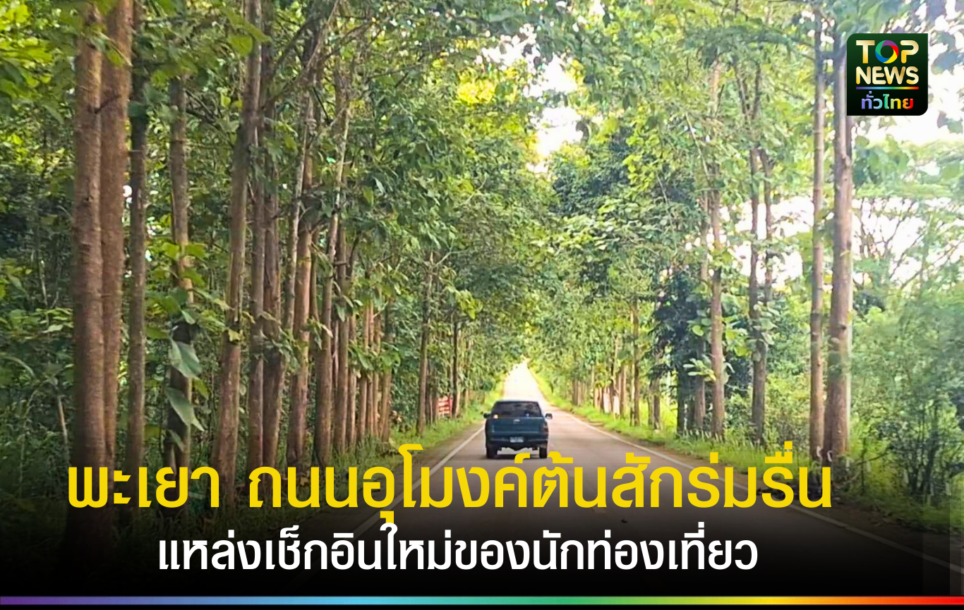 พะเยา ถนนอุโมงค์ต้นสักร่มรื่น แหล่งเช็กอินใหม่ของนักท่องเที่ยว | TOPNEWS