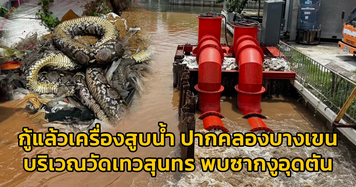 กู้แล้วเครื่องสูบน้ำ ปากคลองบางเขน บริเวณวัดเทวสุนทร หลังพบซากงูเหลือมอุดตัน