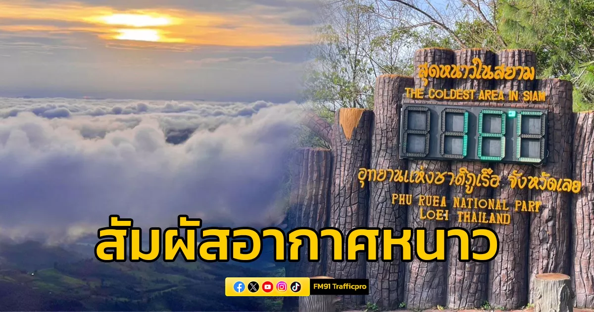 ภูเรือ สุดคึกคัก! นักท่องเที่ยวแห่สัมผัสอากาศหนาว อุณหภูมิต่ำสุด 18 องศา