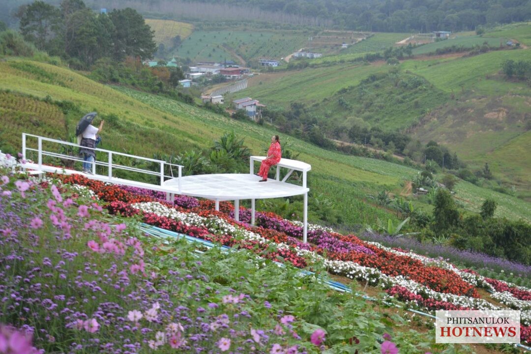 เตรียมความพร้อมก่อนเปิดฤดูกาลท่องเที่ยวหมู่บ้านสีชมพู