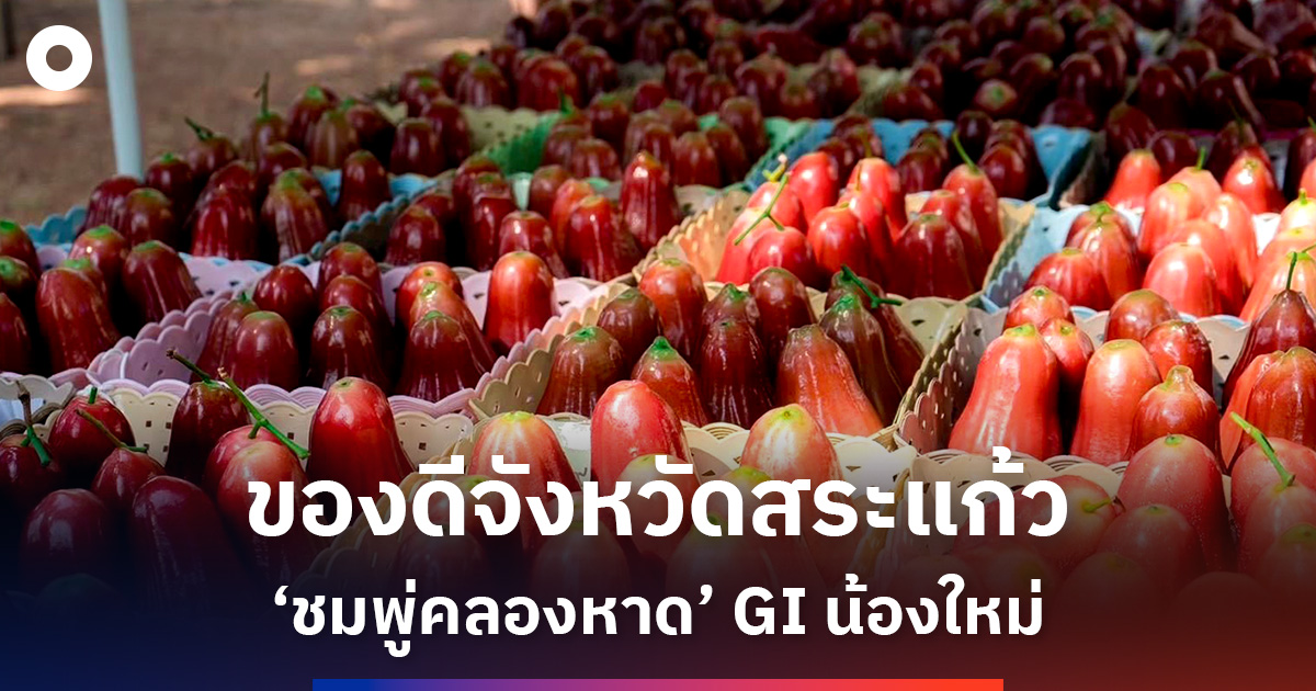 ของดีจังหวัดสระแก้ว-‘ชมพู่คลองหาด’-gi-น้องใหม่