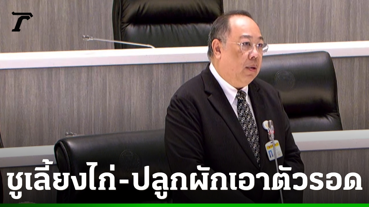 สว. เผย “มาม่า” จ่อขึ้นราคา แนะประชาชนปลูกผัก-เลี้ยงไก่ เอาตัวรอด