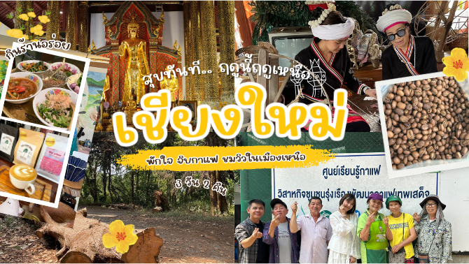 เชียงใหม่สุขทันที…-ฤดูนี้ฤดูเหนือ