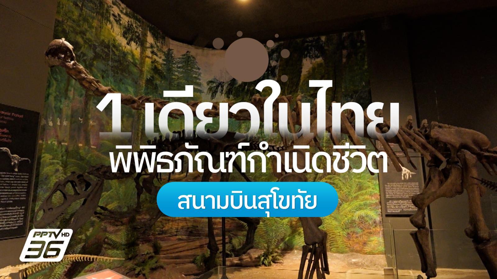 ท่องโลกดึกดำบรรพ์-“พิพิธภัณฑ์กำเนิดชีวิต”-สนามบินสุโขทัย