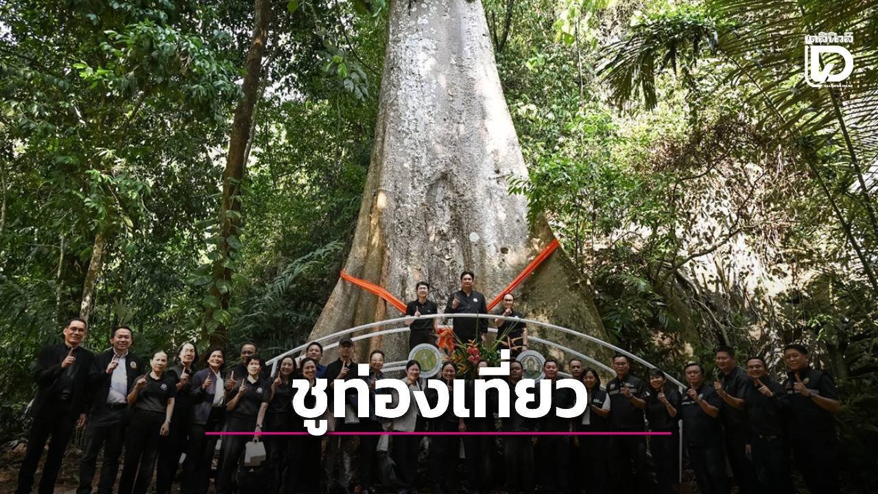 ชู-“กล้วยไม้รองเท้านารีเหลืองกระบี่”-ท่องเที่ยววิถีใหม่-|-เดลินิวส์