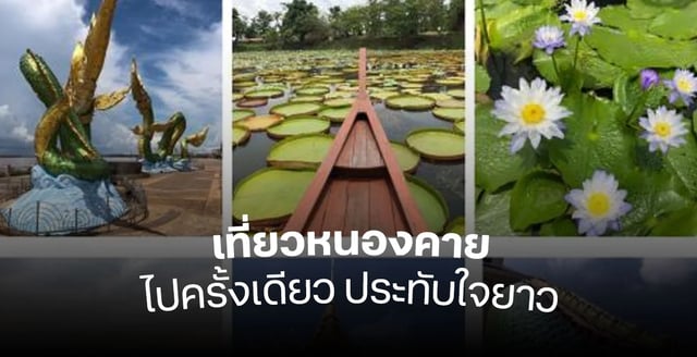 เที่ยวหนองคาย-เดินเล่นริมโขง-ชมพญานาค-และคาเฟ่กลางธรรมชาติ