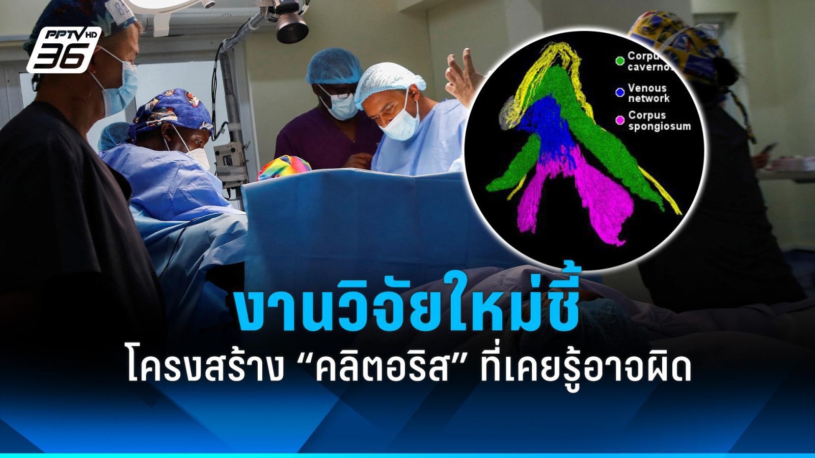 วิจัยใหม่ศึกษาโครงสร้าง-“คลิตอริส”-ยกระดับการผ่าตัดอวัยวะเพศหญิง