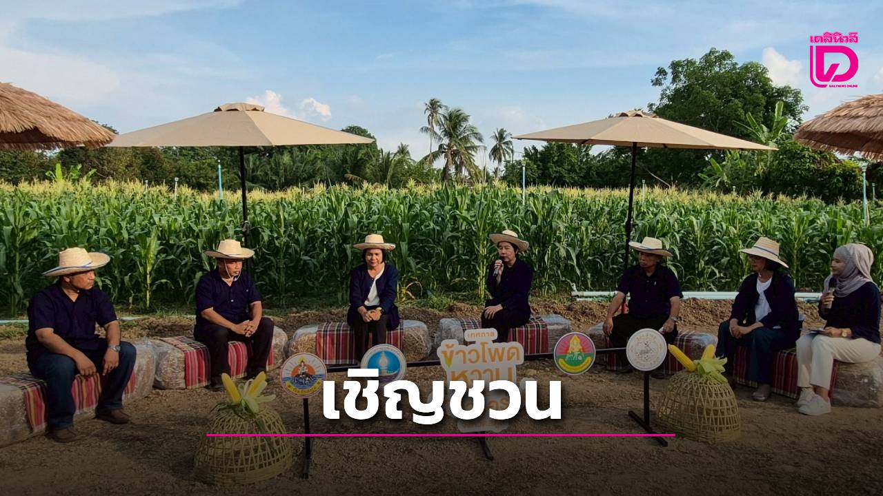 “ข้าวโพดหวานคลองสองน้ำ” อัตลักษณ์หนึ่งเดียว-ณ-ท่าแพ-ชูการท่องเที่ยวเชิงเกษตรสู่ระดับประเทศ-|-เดลินิวส์