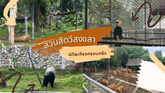 สวนสัตว์สงขลา-พิกัดเที่ยวครอบครัว-ชมโชว์แมวน้ำแสนรู้ใกล้ชิด