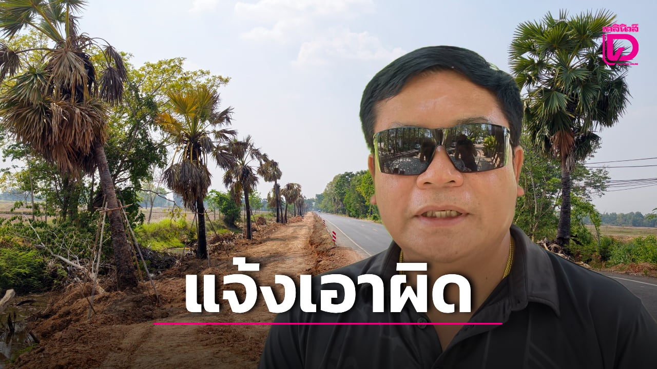 จ่อแจ้งจับ-‘ผู้รับเหมา-เจ้าหน้าที่รัฐ’-ตัดต้นตาล-‘ดาบวิชัย’-สร้างถนนก่อนทำสัญญา-|-เดลินิวส์