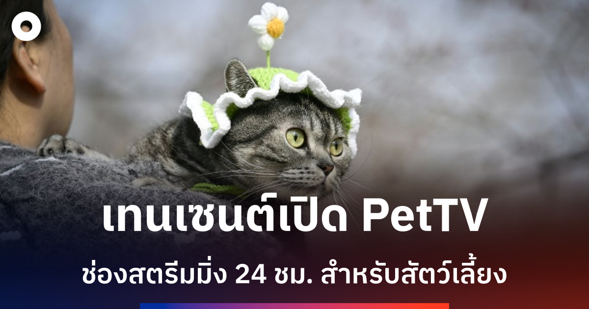 เทนเซนต์เปิดตัวช่องสตรีมมิ่งพิเศษสำหรับสัตว์เลี้ยงในจีน