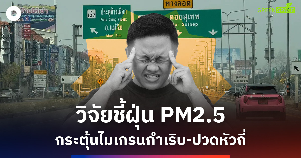แพทย์-มชเผยงานวิจัยผลกระทบมลพิษทางอากาศ-pm2.5-กระตุ้นไมเกรน-ปวดหัวถี่