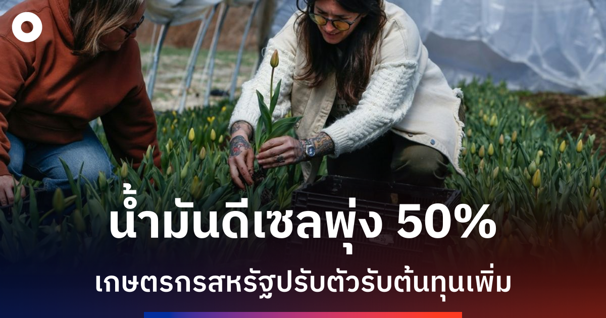 เกษตรกรสหรัฐฯ-เดือดร้อนราคาน้ำมันพุ่งจากสงครามตะวันออกกลาง