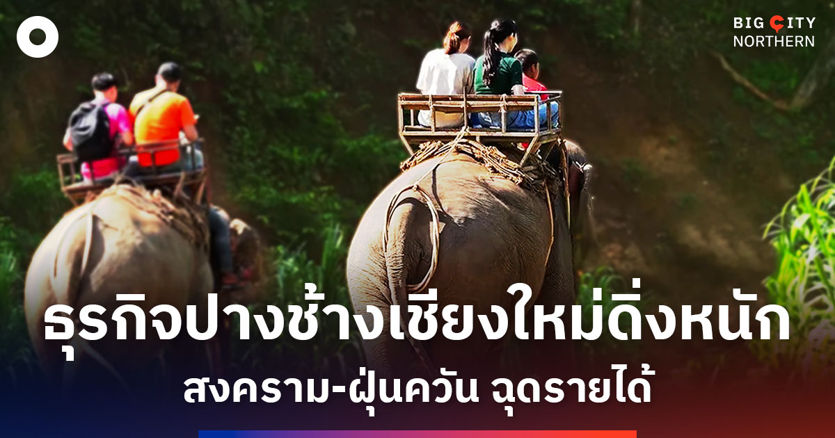 ธุรกิจปางช้างเชียงใหม่ดิ่งหนัก-สงคราม-ฝุ่นควัน-ฉุดรายได้