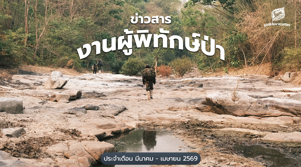 ข่าวสารงานผู้พิทักษ์ป่า-ประจำเดือนมีนาคม-–-เมษายน-2569-–-มูลนิธิสืบนาคะเสถียร
