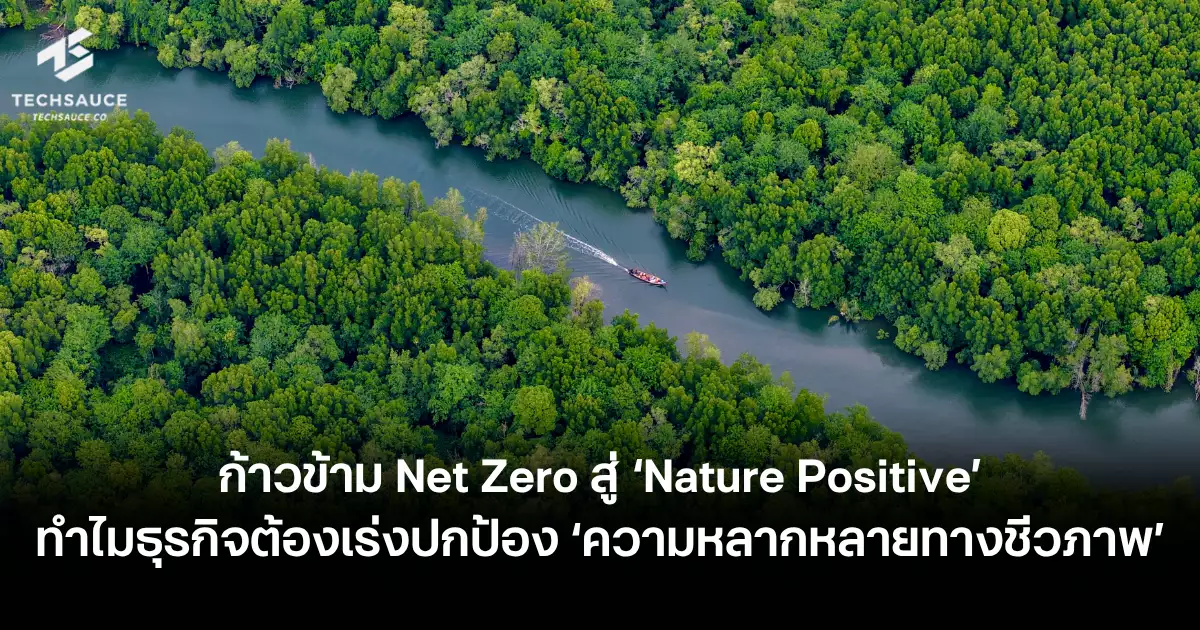 หลัง-net-zero-ต้องรู้จัก