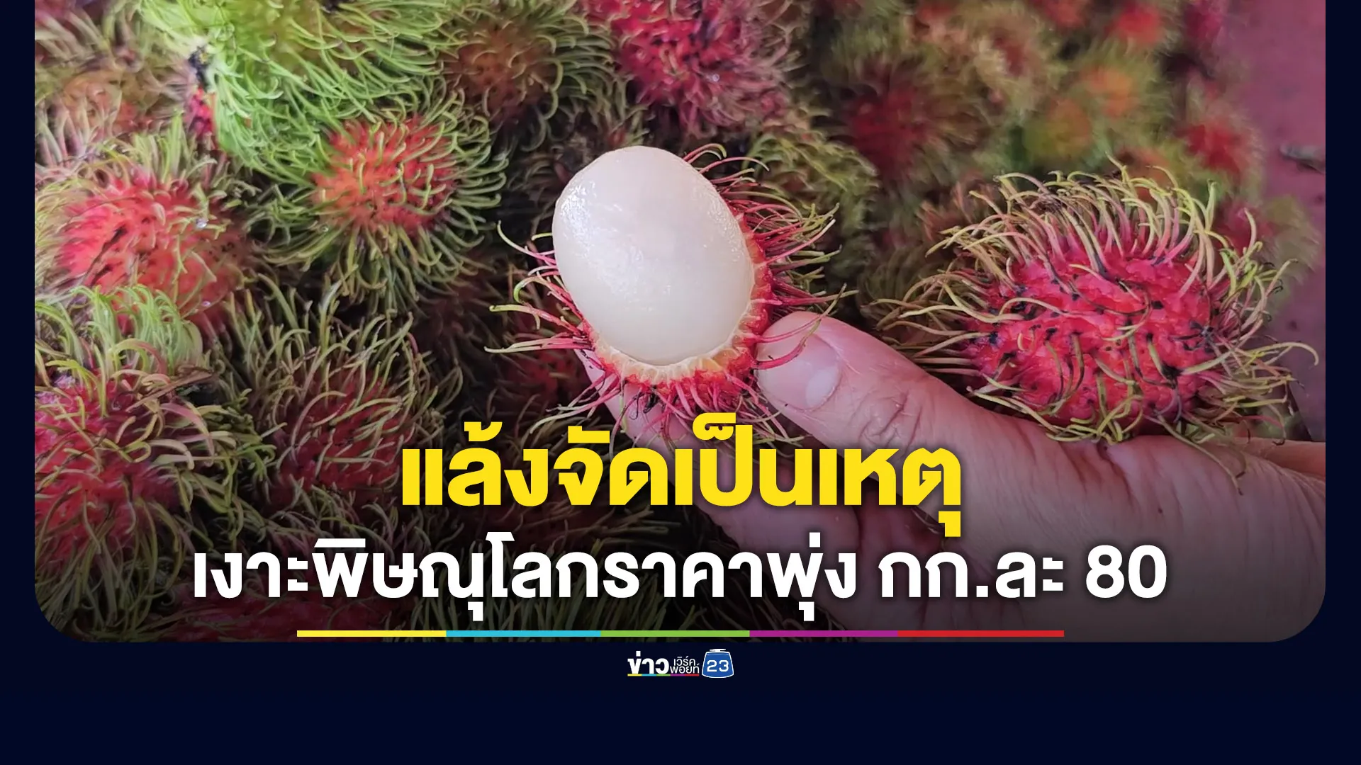อากาศแล้งจัด-ทำราคาเงาะพิษณุโลกพุ่ง-กก.ละ-80-บาท