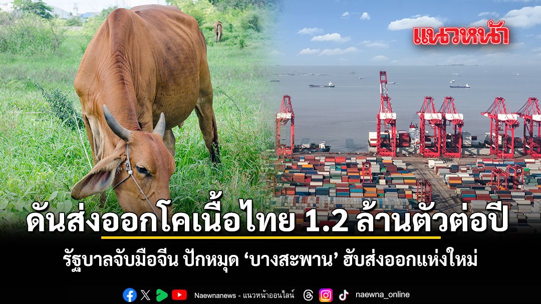 ดันส่งออกโคเนื้อไทย-1.2-ล้านตัวต่อปี-รัฐบาลจับมือจีน-ปักหมุด-บางสะพาน-ฮับส่งออกแห่งใหม่