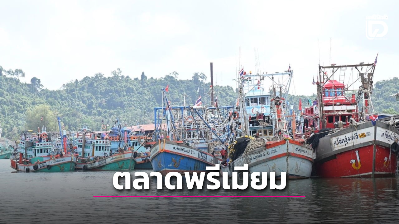 เดินหน้าปั้น-“ตลาดปลาพรีเมียม”-ฟื้นเศรษฐกิจประมงไทย-|-เดลินิวส์