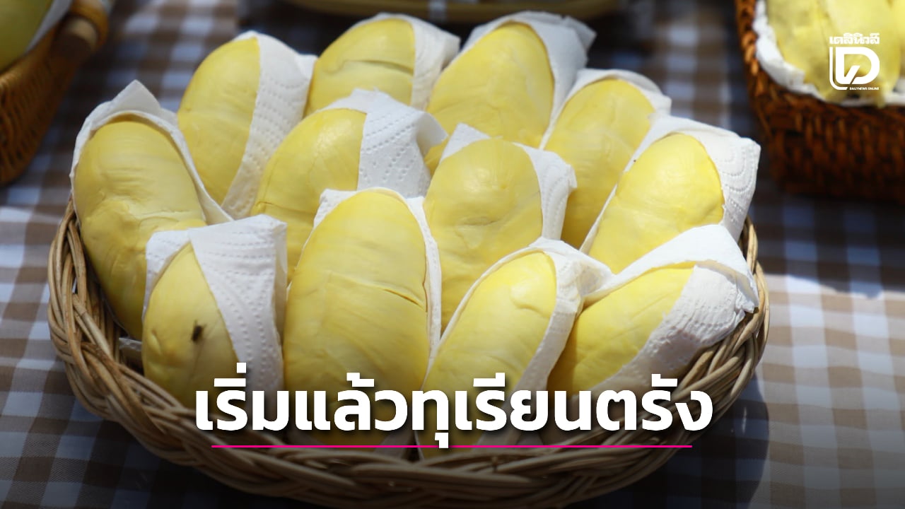 “ทุเรียนตรัง” พืชเศรษฐกิจใหม่ความหวังให้เกษตรกร | เดลินิวส์