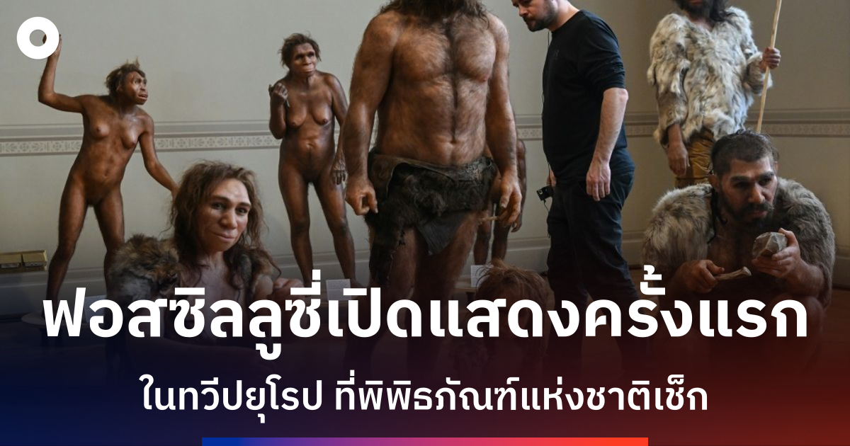 ลูซี่ บรรพบุรุษมนุษย์อายุ 3.18 ล้านปี เตรียมแสดงครั้งแรกในยุโรปที่เมืองปราก