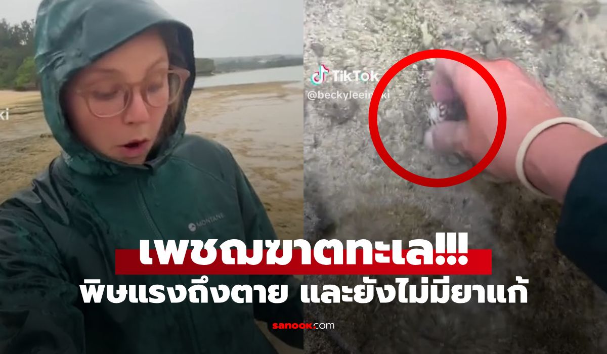 คลิป 35 ล้านวิว สาวเผยโฉม “เพชฌฆาตทะเล” บนชายหาด พิษแรงถึงตาย และยังไม่มียาแก้!