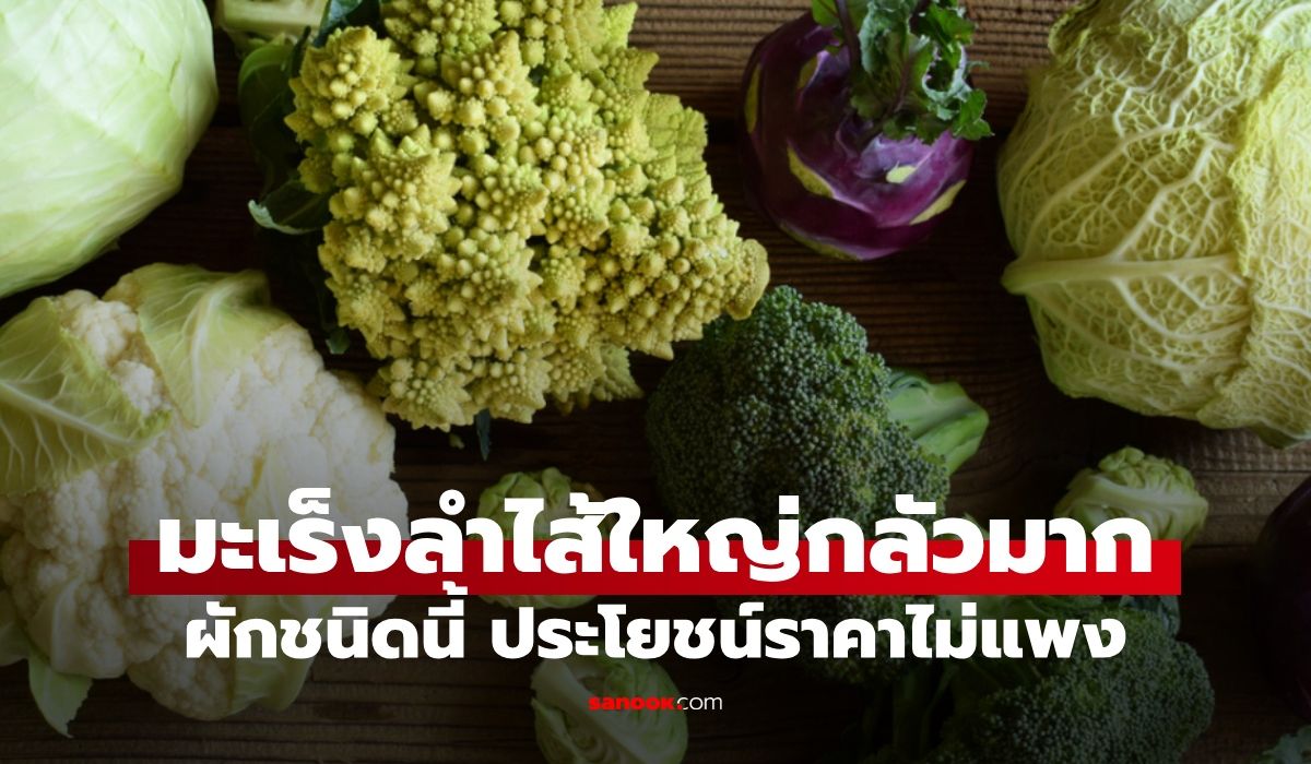 มะเร็งลำไส้ใหญ่กลัวมาก-“ผักชนิดนี้”-วิจัยชี้ลดความเสี่ยงโรค-ประโยชน์ราคาไม่แพง