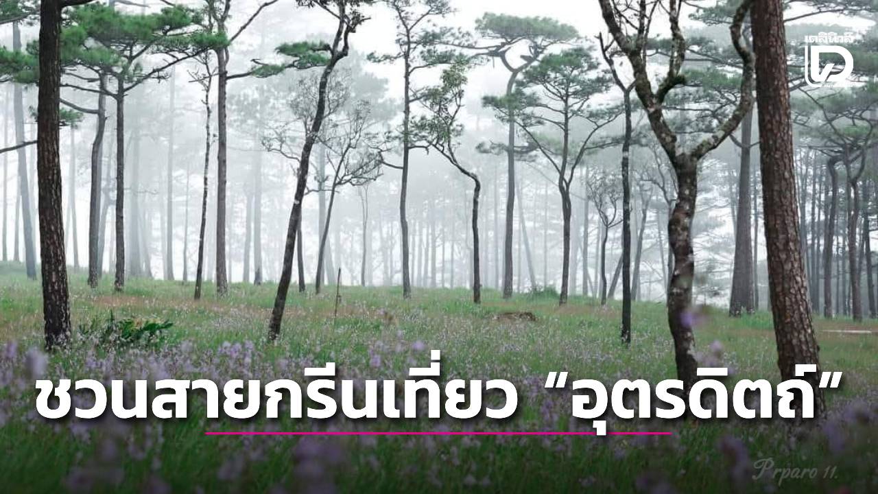 ชวนสายกรีนเที่ยว “อุตรดิตถ์” ชมดอกหงอนนาค ชิมลางสาด-ลองกอง | เดลินิวส์