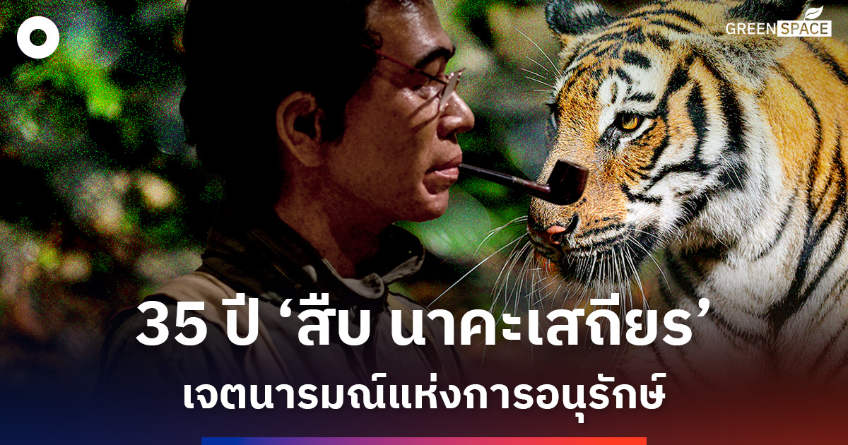 35-ปี-‘สืบ-นาคะเสถียร’-ชีวิตเพื่อผืนป่า-เจตนารมณ์แห่งการอนุรักษ์-และการต่อสู้ที่ยังไม่สิ้นสุด