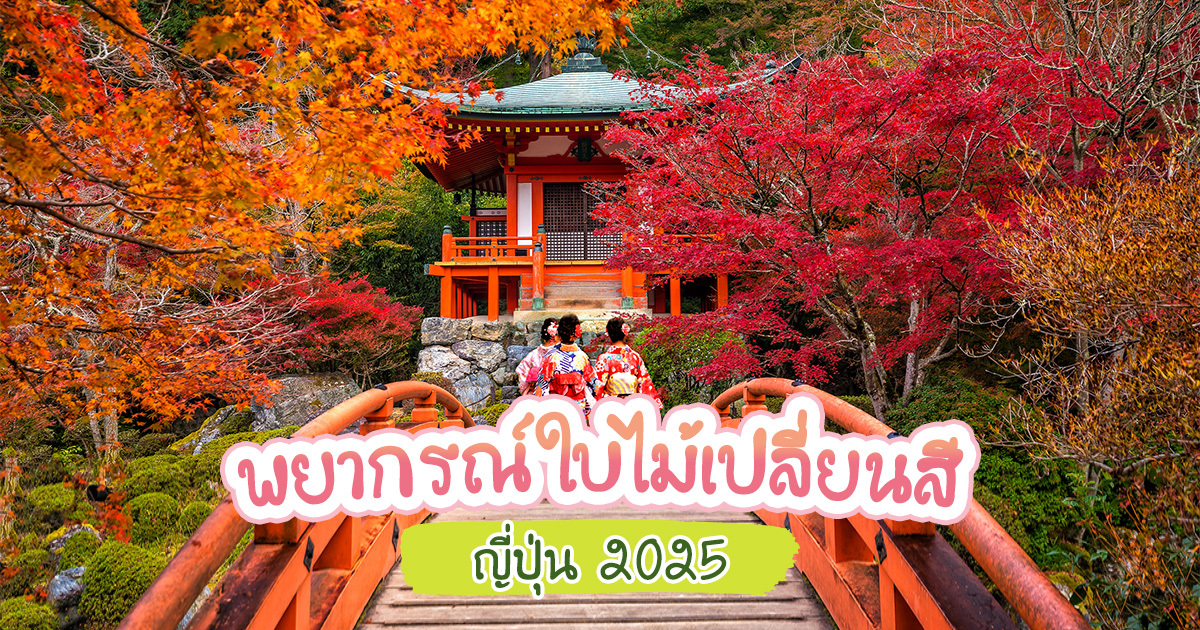 พยากรณ์ใบไม้เปลี่ยนสี 2025 วางแผนก่อนใคร ใบไม้แดงพร้อมรอ