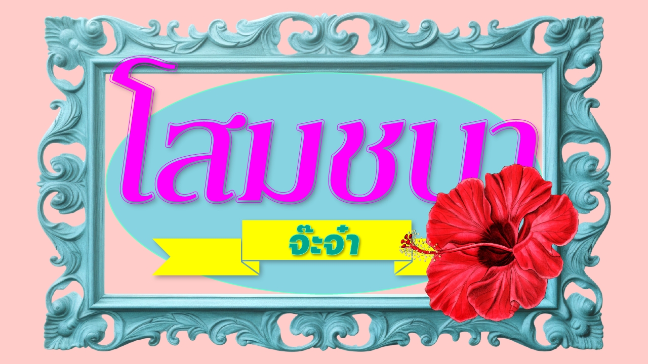 โสมชบาจ๊ะจ๋า-10-กันยายน-2568