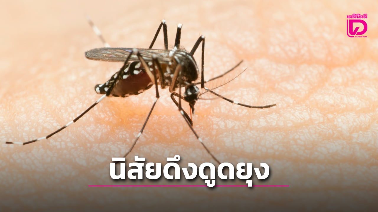 ผลการศึกษาชี้-นิสัยที่ทำให้คนกลายเป็น-“แม่เหล็กดูดยุง”-|-เดลินิวส์