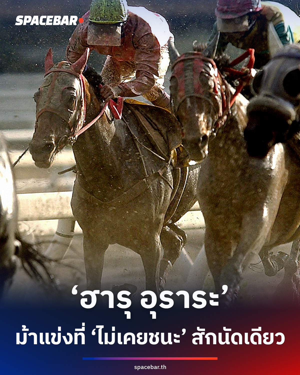 ‘ฮารุ-อุราระ’-ตำนานม้าแข่งที่-‘ไม่เคยชนะ’-แต่ใจไม่เคยยอมแพ้-สัญลักษณ์แห่งความหวังในยุคเศรษฐกิจตกต่ำ