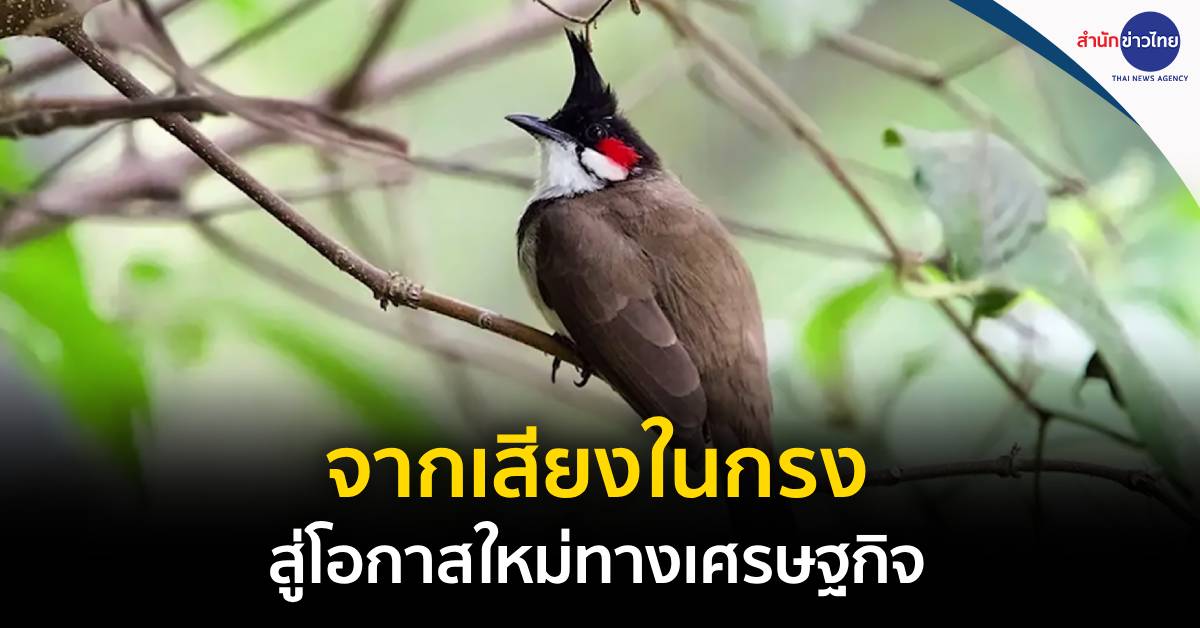จากเสียงในกรง สู่เสียงของโอกาสใหม่ทางเศรษฐกิจ