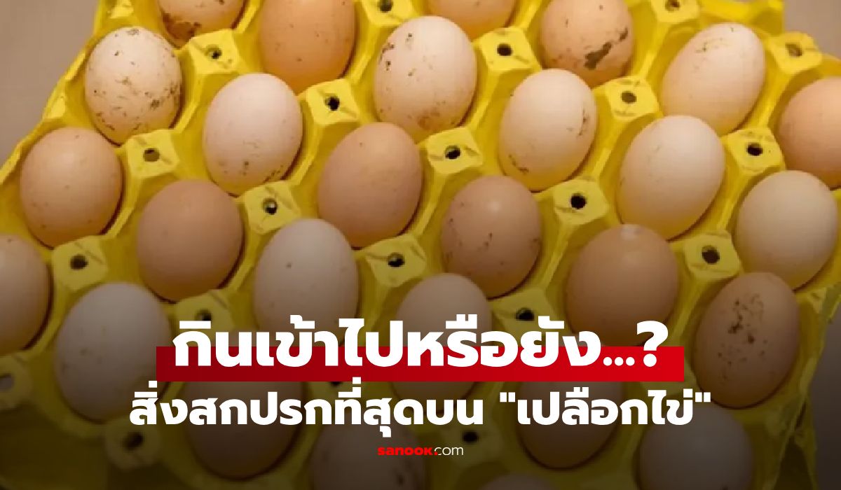 รู้หรือไม่?-สิ่งสกปรกที่สุดบน-“เปลือกไข่”-อาจเป็นสิ่งที่คุณกินเข้าไปทุกวันโดยไม่รู้ตัว!