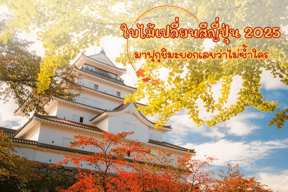 ใบไม้เปลี่ยนสีญี่ปุ่น-2025-นี้-มาฟุกุชิมะสิบอกเลยว่าไม่ซ้ำใคร