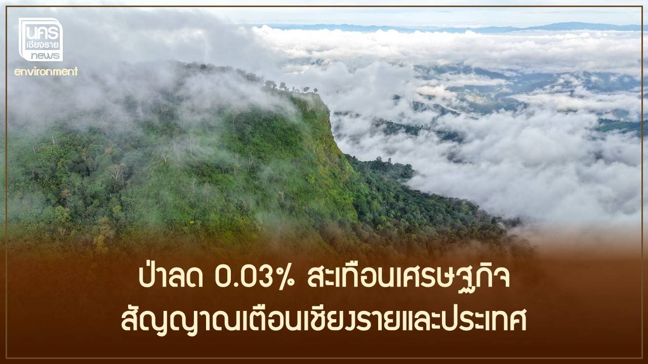 ป่าไทยลด-0.03%-สัญญาณเตือนถึงเชียงรายและเศรษฐกิจสีเขียวทั้งภาคเหนือ