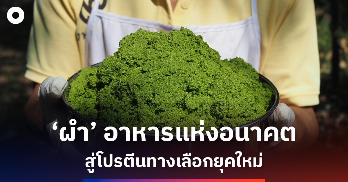‘ผำ’-อาหารแห่งอนาคต-สู่โปรตีนทางเลือกยุคใหม่