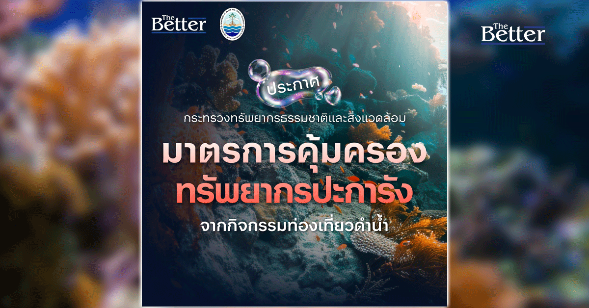 คุมเข้มท่องเที่ยวทะเล!-ออกมาตรการใหม่ปกป้องแนวปะการังไทย
