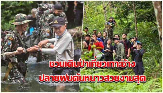 อชหมู่เกาะช้าง-ชวนนทท.กลุ่มเดินป่าเที่ยวเกาะช้าง-ปลายฝนต้นหนาวสวยงามสุดทั้งเกาะ-ทั้งป่า-น้ำตก