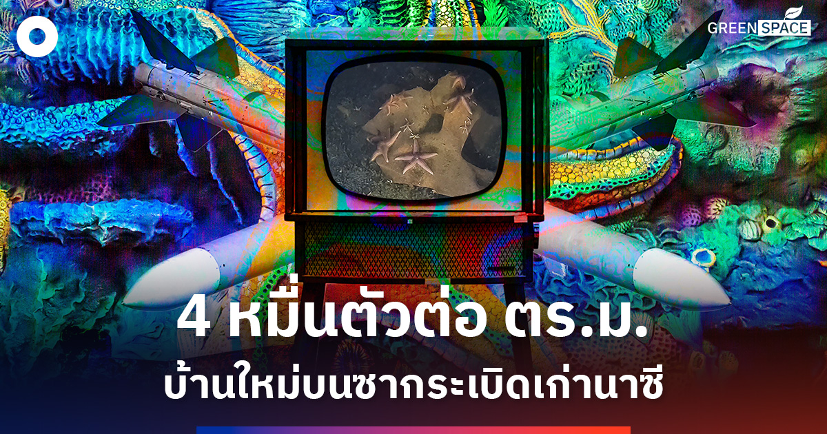 จากซากระเบิดเก่านาซี-สู่วิถีระบบนิเวศใหม่ใต้ทะเลบอลติก
