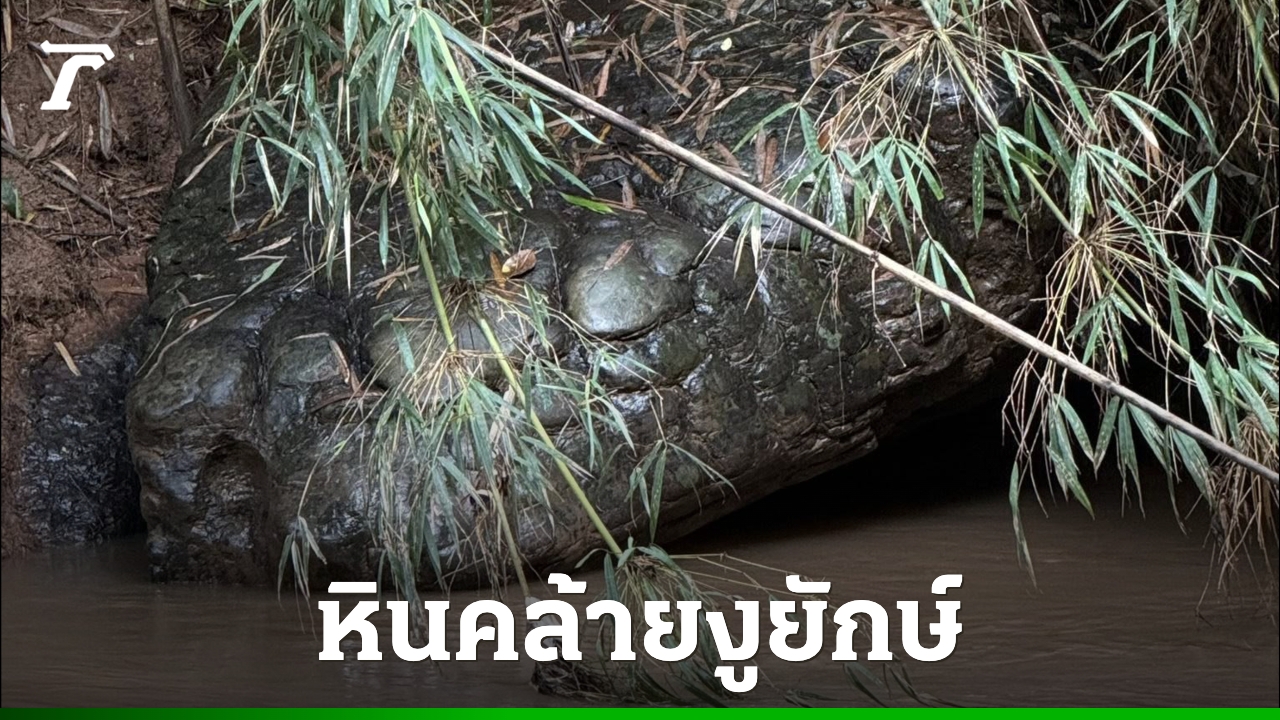 ตะลึงพบหินคล้ายงูยักษ์บึงกาฬ-โผล่ข้างลำน้ำเข็ก-เขาค้อ-ใกล้กันมีวังน้ำวนแปลกตา