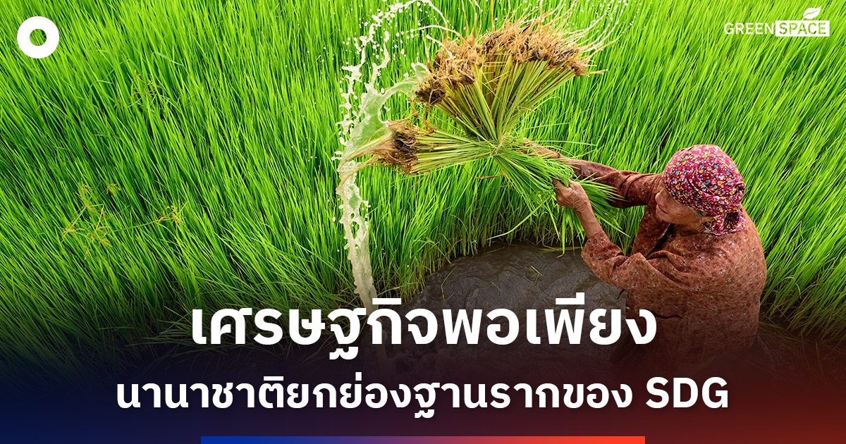 นานานาชาติยกย่อง-‘เศรษฐกิจพอเพียง’-เป็นแนวทางปฏิบัติสู่-sdgs
