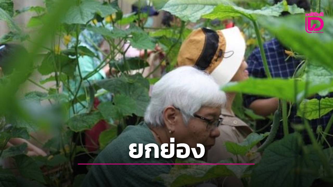 “วิสาหกิจชุมชนการท่องเที่ยวเชิงเกษตรบ้านม่วงคำ”ยกระดับความยั่งยืนสู่ชุมชน-|-เดลินิวส์