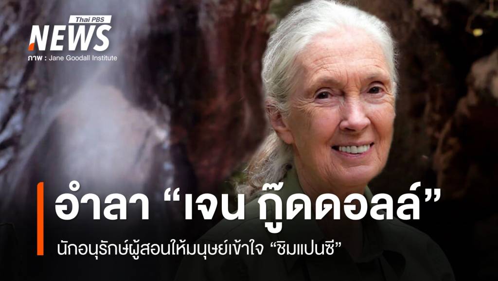 อำลานักอนุรักษ์-“เจน-กู๊ดดอลล์”-ผู้หญิงที่สอนให้มนุษย์เข้าใจ-“ชิมแปนซี”