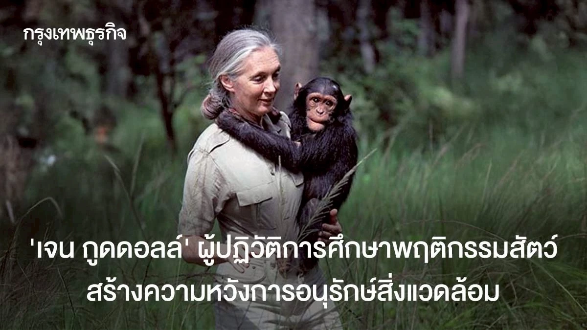 ‘เจน-กูดดอลล์’-ผู้ปฏิวัติการศึกษาพฤติกรรมสัตว์-สร้างความหวังการอนุรักษ์สิ่งแวดล้อม