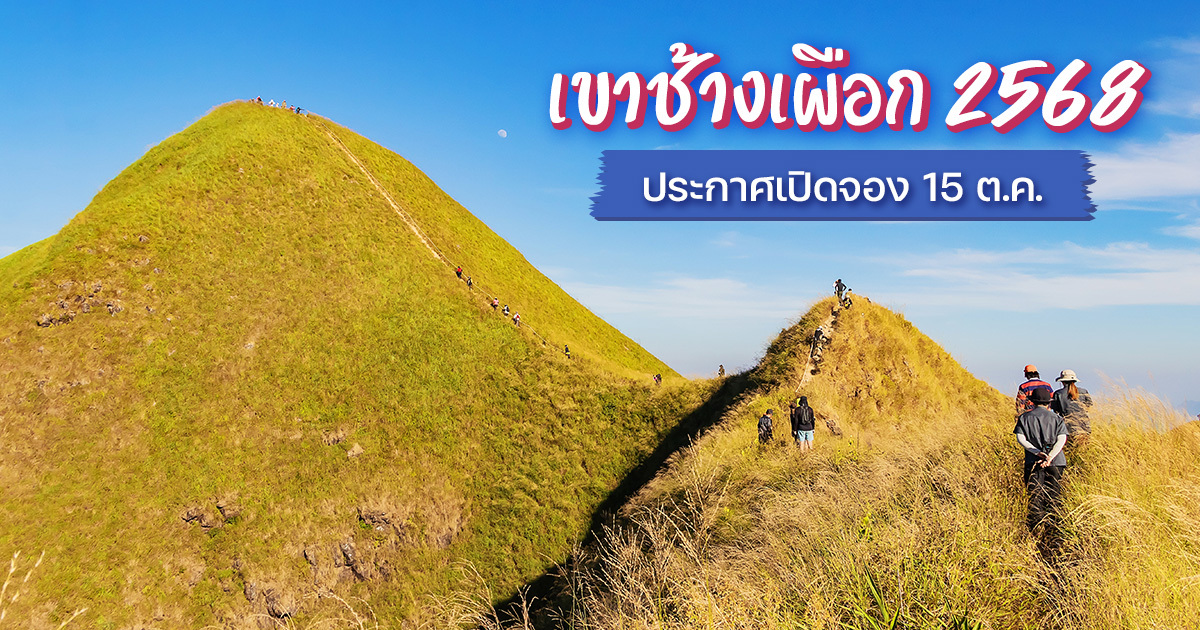 เปิดฤดูกาลปี-2568-เขาช้างเผือก-กาญจนบุรี-ชมวิวสันคมมีดสุดอลังการ