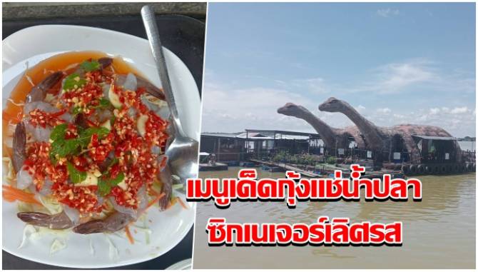 กาฬสินธุ์โชว์เมนูเด็ดกุ้งแช่น้ำปลา-ซิกเนเจอร์เลิศรส-ประจำร้านเรียกลูกค้า